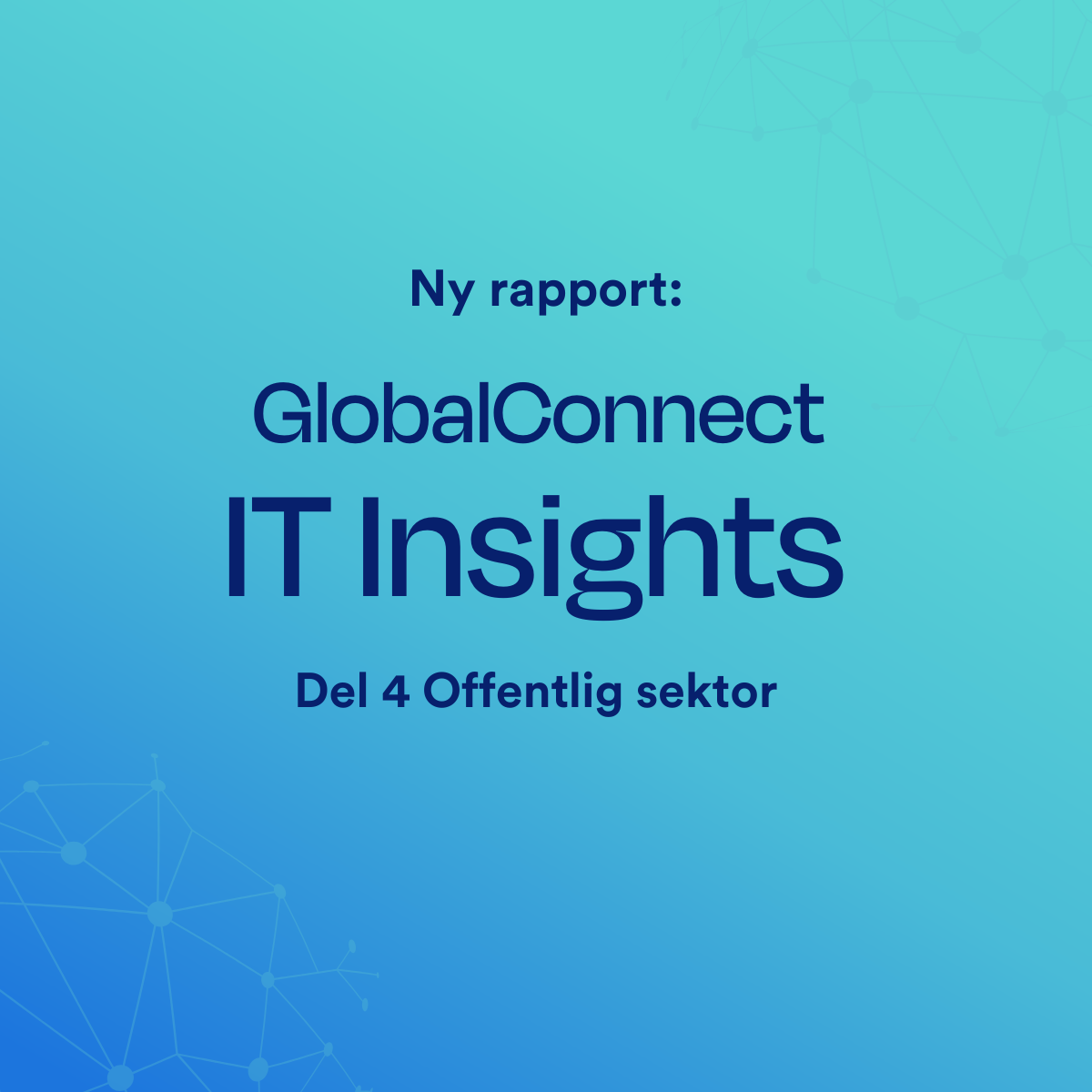 Rapport 4: Offentlig sektor